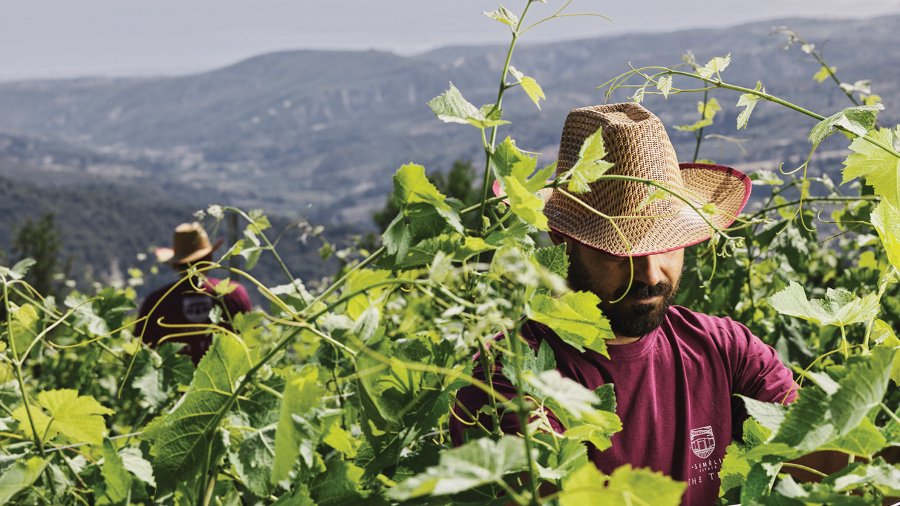 Semeli Winery